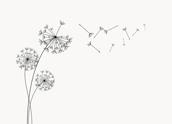 Dandelion Flying Seeds Vector Isolated Decoration Element Scattered Silhouettes — Stock Vector