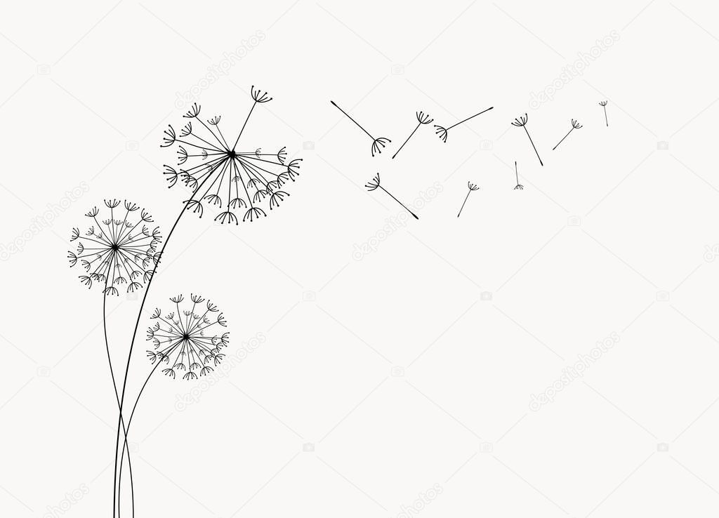 Dandelion with flying  seeds. Vector isolated decoration element from scattered silhouettes