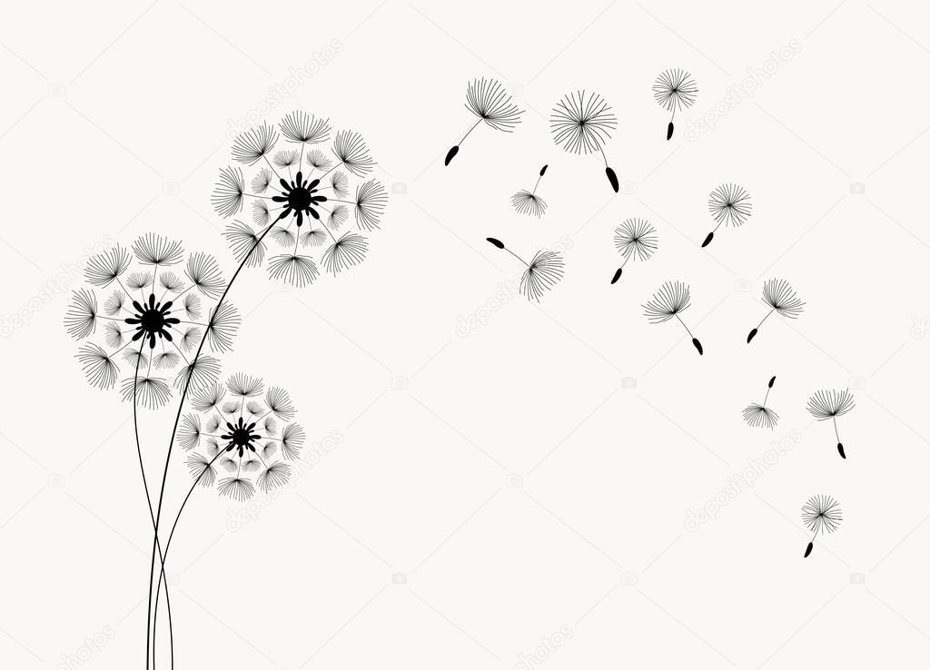 Dandelion with flying  seeds. Vector isolated decoration element from scattered silhouettes