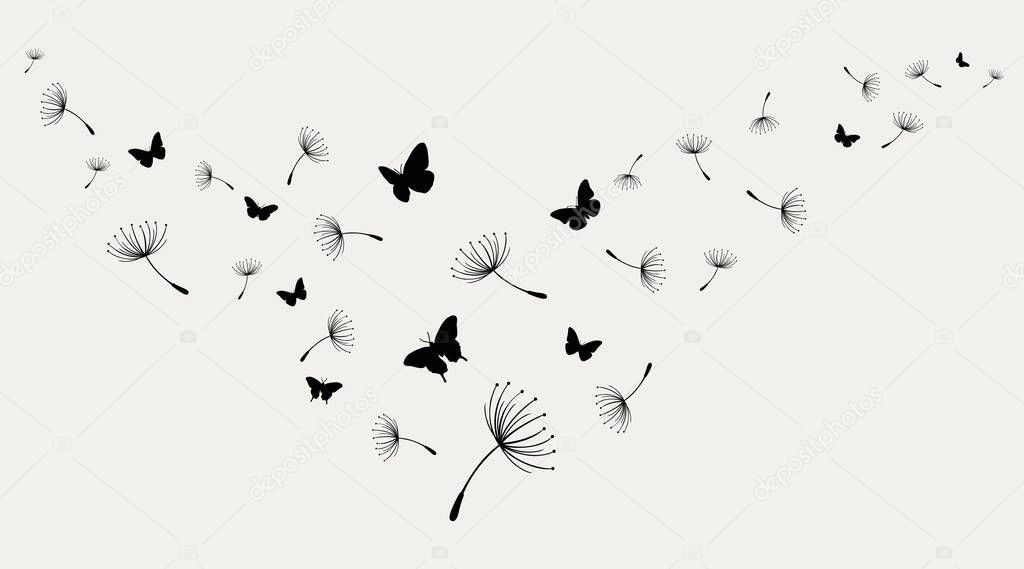 Dandelion with flying butterflies and seeds, vector illustration