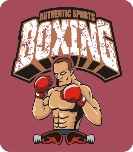 Ilustração vetorial de boxe —  Vetores de Stock