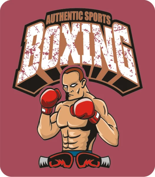 Ilustración de vector de boxeo — Vector de stock