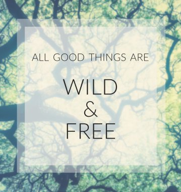 İlham alıntı olduğunu ve motivasyon arka plan