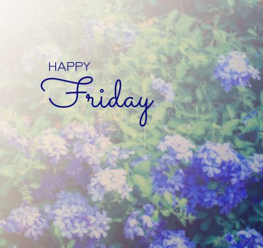 Bulanık çiçek zemin üzerine ilham alıntı