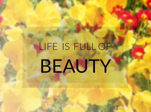 Inspirerende citaat op de achtergrond wazig bloemen — Stockfoto
