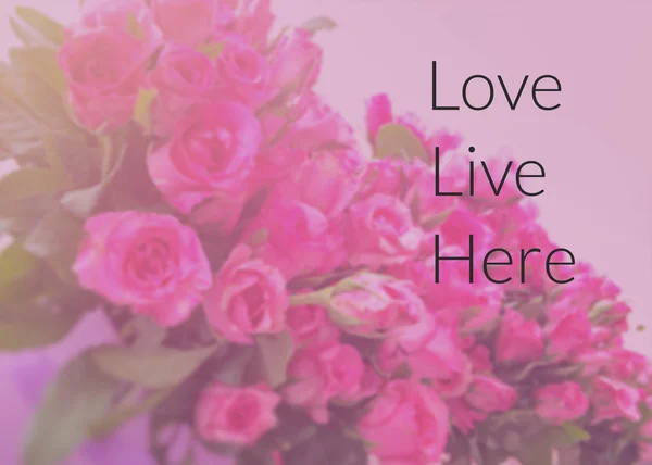 Inspirational quote on blurred  flowers background