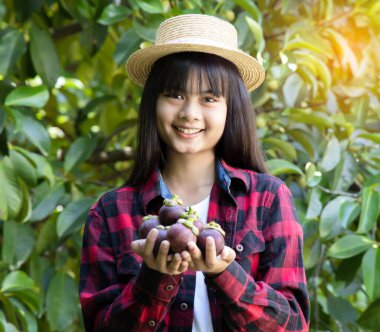 Mutlu kadın çiftçi mangoesteen meyvesi tutuyor ve organik çiftliğinde gülümsüyor.