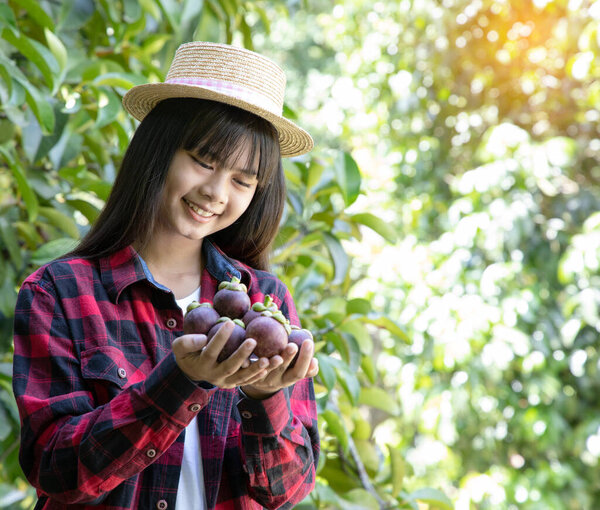 Happy female farmer holding magoesteen fruit and smiles in her organic farm