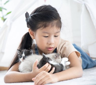Asyalı küçük kız evde kedi yavrusuyla oynuyor.