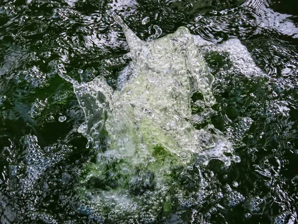 대야에서 물을 튀기는 모습 — 스톡 사진
