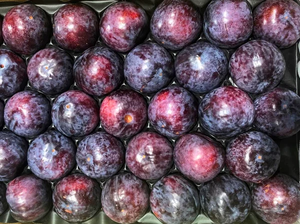 Red giant plums — Stock Photo, Image