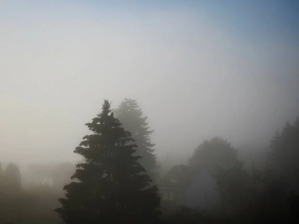 Nevoeiro de manhã grosso no outono — Fotografia de Stock
