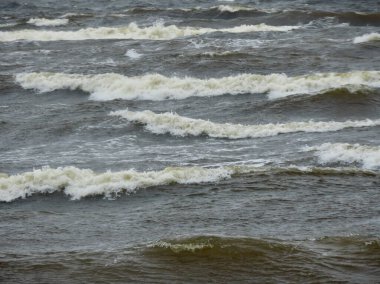 Baltık deniz dalgaları