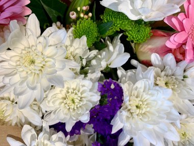 Çeşitli renkli çiçekler.