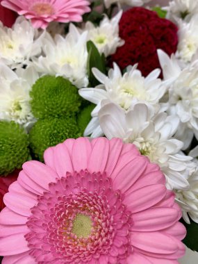 Çeşitli renkli çiçekler.