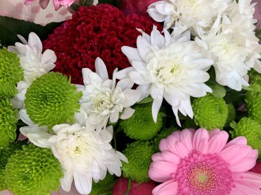 Çeşitli renkli çiçekler.