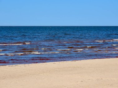 Baltık Denizi ve Sahili