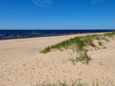 Deniz kenarındaki kum tepeleri