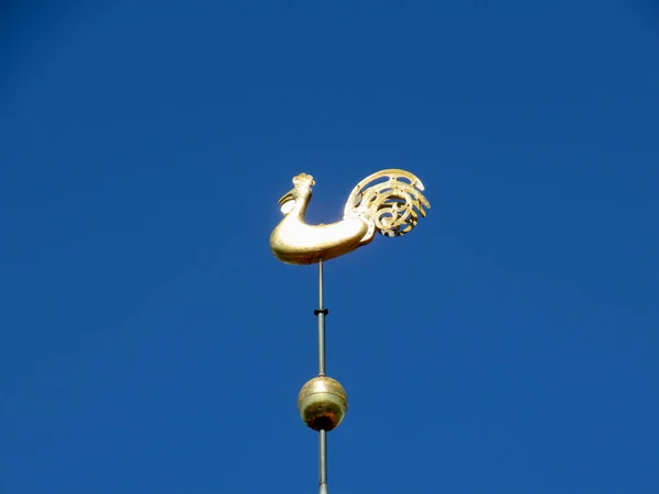 Weathervane guld tupp — Stockfoto