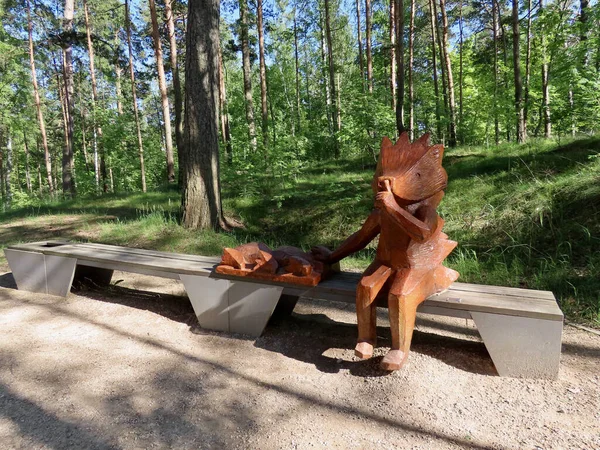 Tahta kirpi heykeli