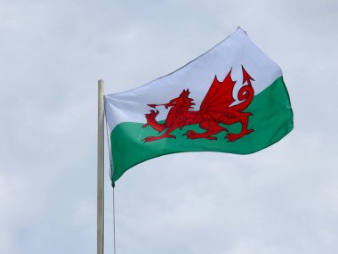 Galler bayrağı rüzgarda