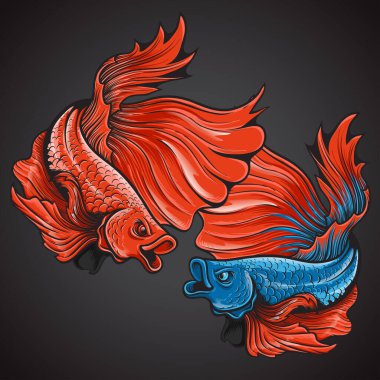 beautiful action halfmoon betta fish logo illustration