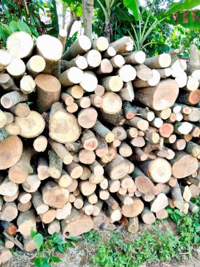 Perfectly stacked round wood logs forming a sturdy natural pattern and texture background