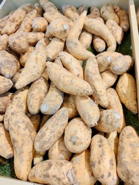 Freshly Harvested Light Skinned Sweet Potatoes Piled High in a Wooden Crate for Sale