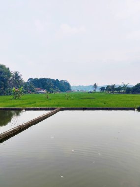 Sumedang, Batı Java, Endonezya 'daki Serene Kırsal Balık Çiftliği Peyzajı