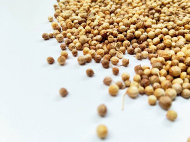 Uluslararası gurme yemek tasarımları için sağlıklı kurutulmuş kişniş baharatı