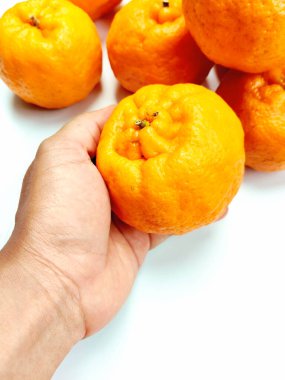 Sağlıklı Abur cubur için organik Çin Sumo Mandarini