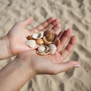 ellerinde deniz kabukları