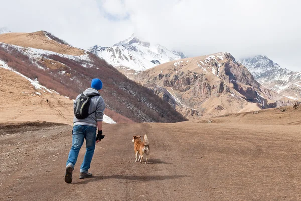 Viaggiatore uomo e cane sulla strada — Foto Stock