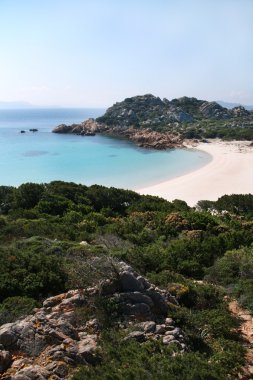 Budelli Adası. Pembe plaj. La Maddalena takımadaları. Sardunya 'da. İtalya