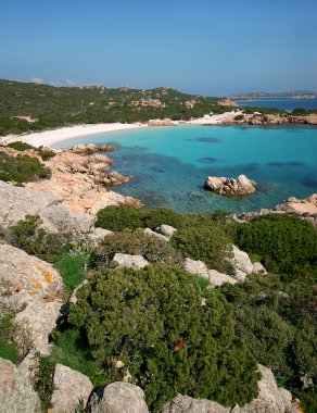 Budelli Adası. Pembe plaj. La Maddalena takımadaları. Sardunya 'da. İtalya