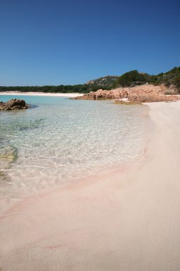 Budelli Adası. Pembe plaj. La Maddalena takımadaları. Sardunya 'da. İtalya