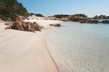 Budelli Adası. Pink Beach. La Maddalena adalar (Sardunya - İtalya)
