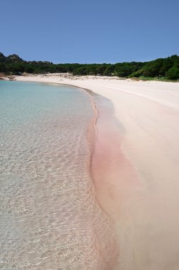 Budelli Adası. Pink Beach. La Maddalena adalar (Sardunya - İtalya)