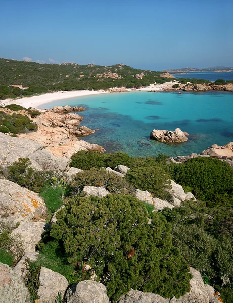 Budelli Adası. Pembe plaj. La Maddalena takımadaları. Sardunya 'da. İtalya — Stok fotoğraf