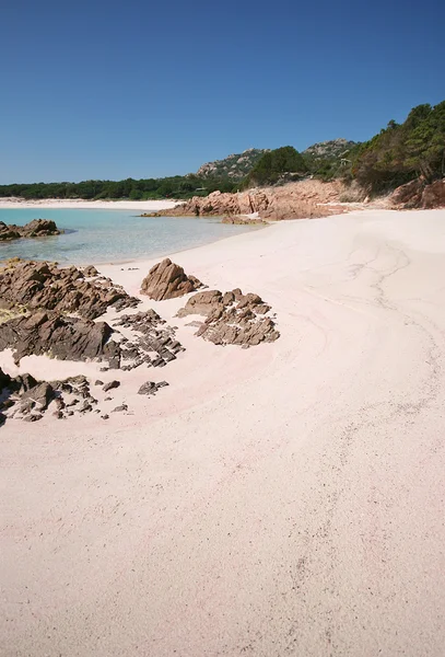 Wyspa Budelli. Różowa plaża. Archipelag La Maddalena. Sardynia. Włochy. — Zdjęcie stockowe