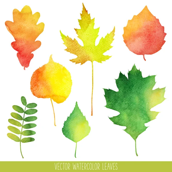 Vektorové akvarel podzimní listí — Stockový vektor