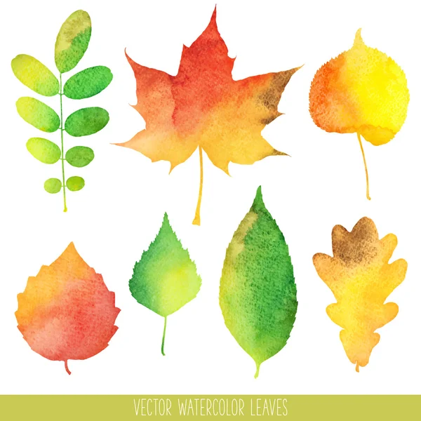 Feuilles d'automne aquarelle Vector — Image vectorielle