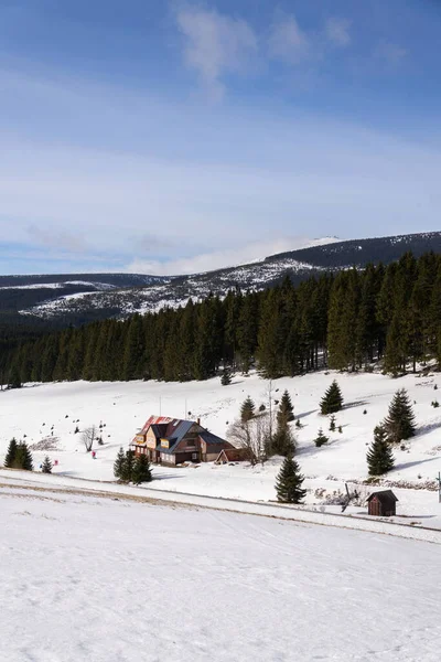 Снечка Найвища Гора Чехії Гори Крконосе Сніжний Зимовий День Польська — стокове фото