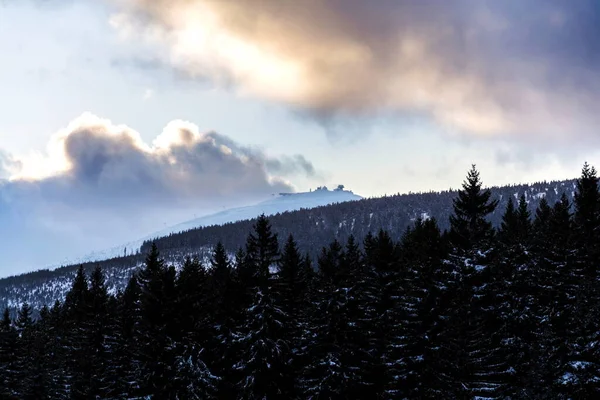 Snezka Highest Mountain Czech Republic Krkonose Mountains Snowy Winter Day — Stock Photo, Image