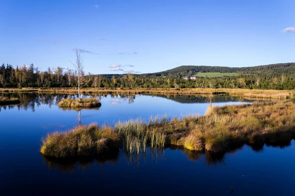 Moro Chalupska Slat Con Abedul Pinos Durante Atardecer Parque Nacional —  Fotos de Stock