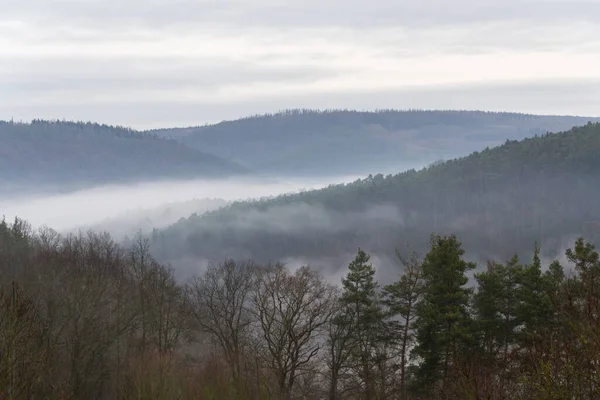 Vale Com Floresta Escondida Nevoeiro Outono Inverno Manhã Nebulosa — Fotografia de Stock