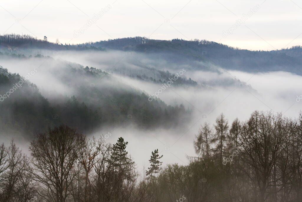 Valley with forest hiding in fog, autumn or winter foggy morning 