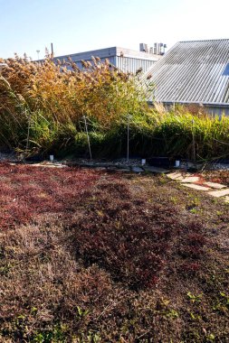 Kök bölgesi atık su arıtma tesisleri ile soğutma modern binanın dış cephesi ile yeşil çatı