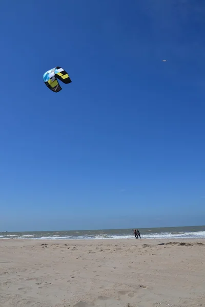 Kiting na pláži v Ostende, Belgie — Stock fotografie