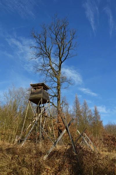 Wooden hunters high seat in forest with blue sky in background — Stock Photo, Image